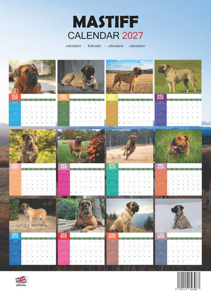 Mastiff Dog Calendar 2027 – M-PRA Range