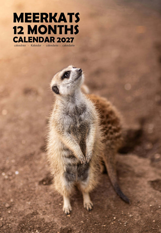 Meerkats Calendar 2027 – M-PRA Range