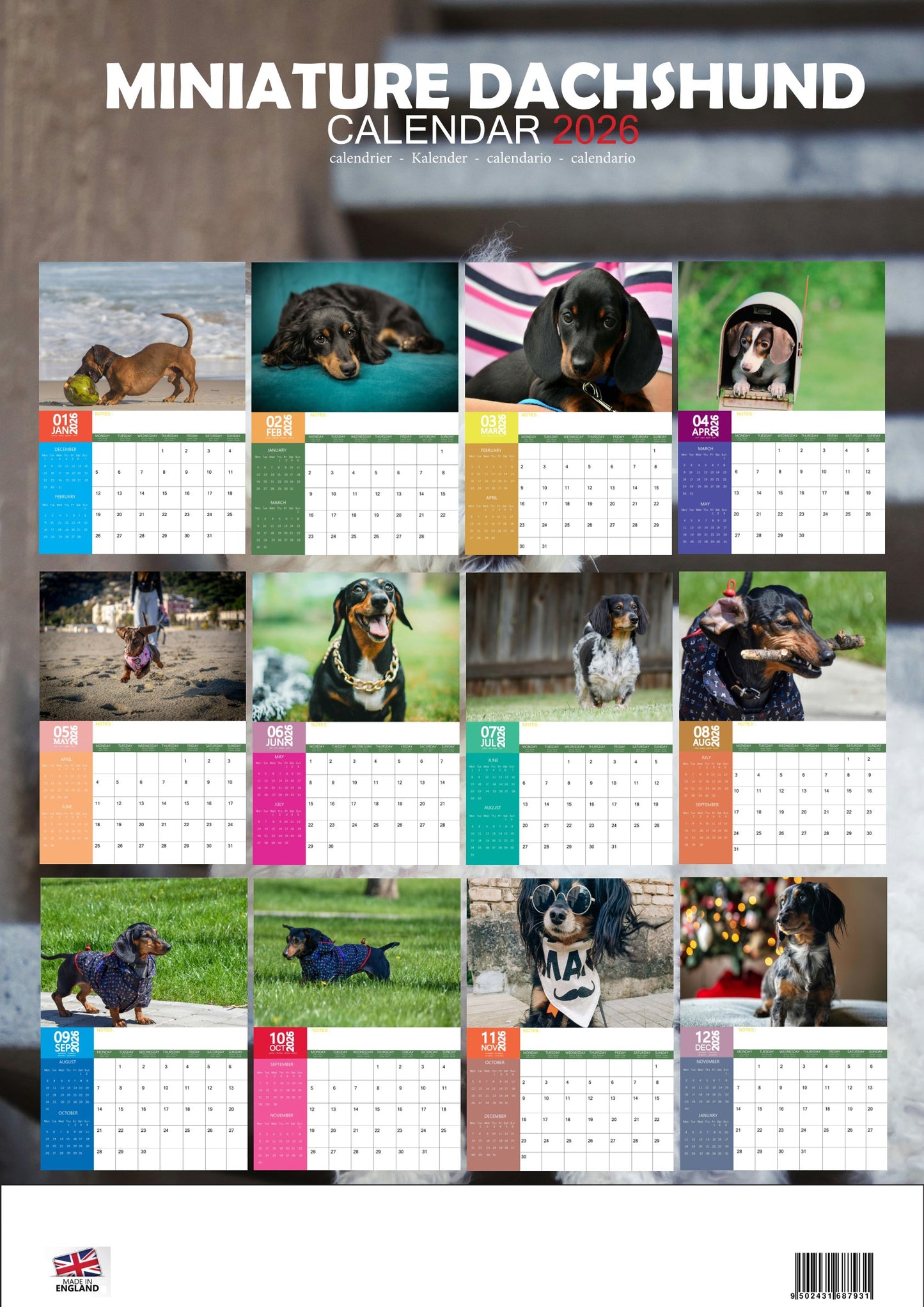 Miniature Dachshund Dog Calendar 2026 – M-PRA Range