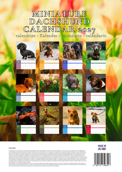 Miniature Dachshund Dog Calendar 2027 – M-PRA Range