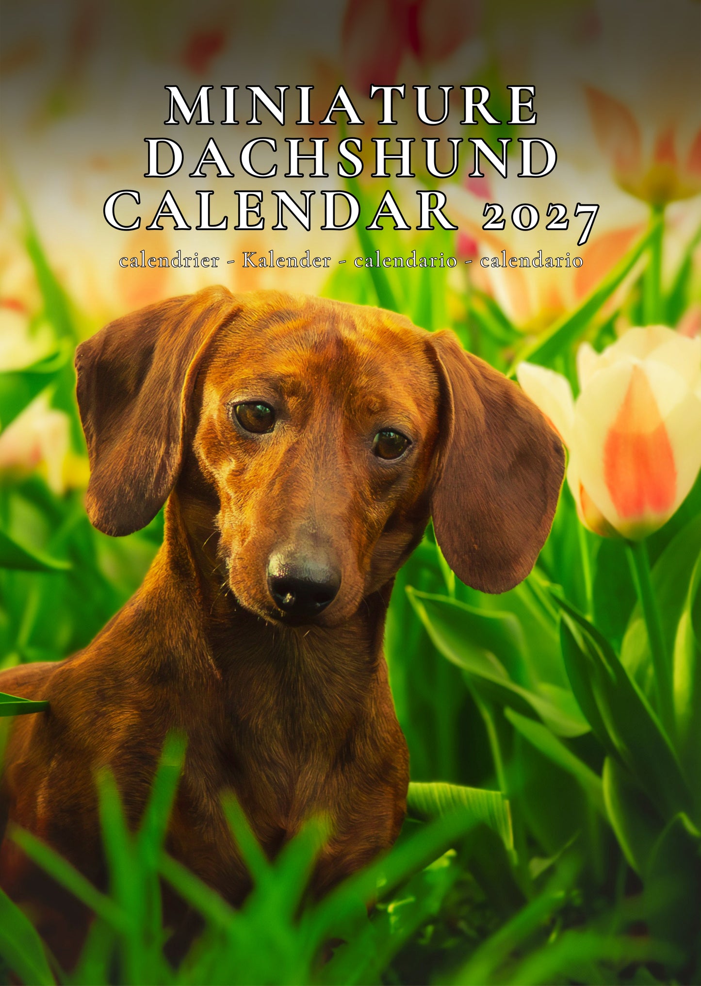 Miniature Dachshund Dog Calendar 2027 – M-PRA Range