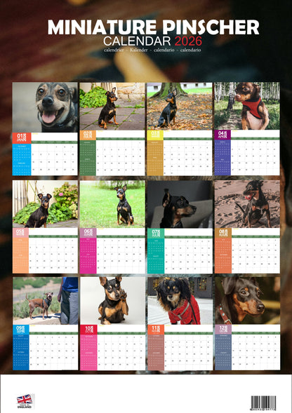 Miniature Pinscher Dog Calendar 2026 – M-PRA Range