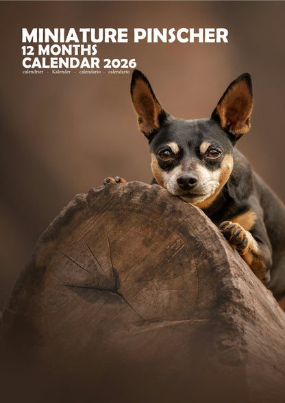 Miniature Pinscher Dog Calendar 2026 – M-PRA Range