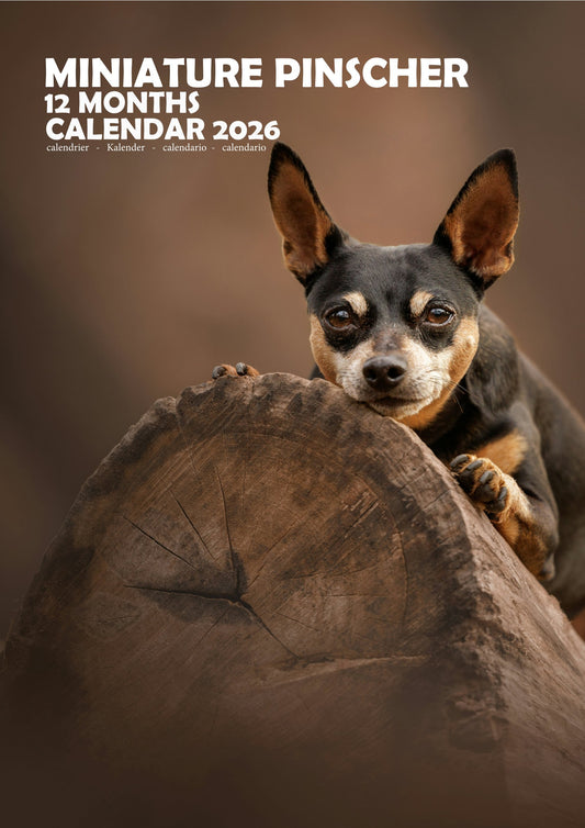 Miniature Pinscher Dog Calendar 2026 – M-PRA Range