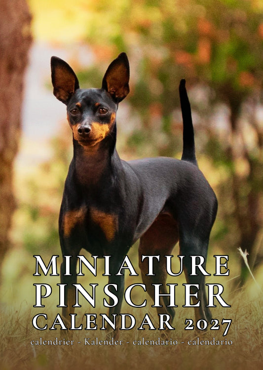 Miniature Pinscher Dog Calendar 2027 – M-PRA Range