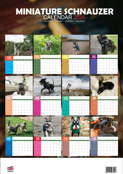 Miniature Schnauzer Dog Calendar 2026 – M-PRA Range