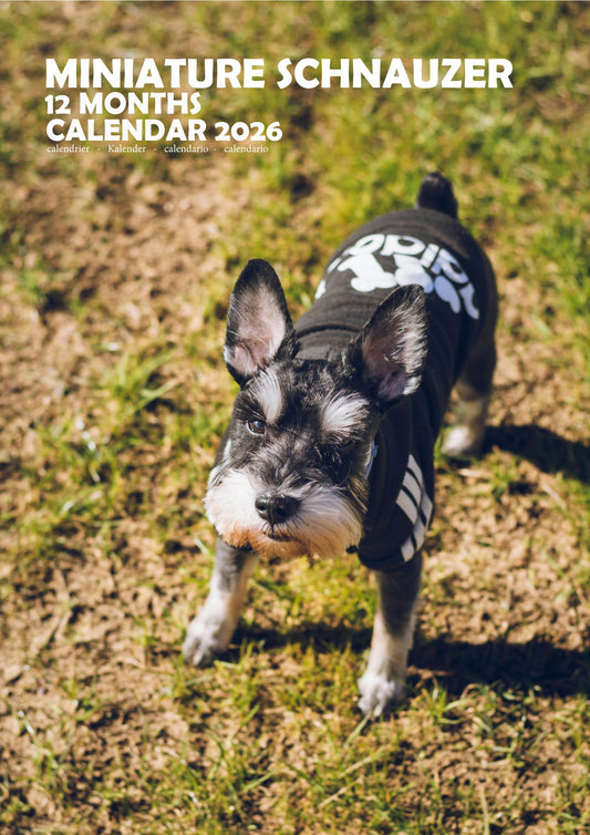 Miniature Schnauzer Dog Calendar 2026 – M-PRA Range