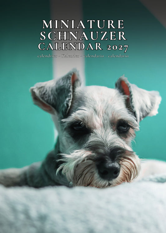Miniature Schnauzer Dog Calendar 2027 – M-PRA Range