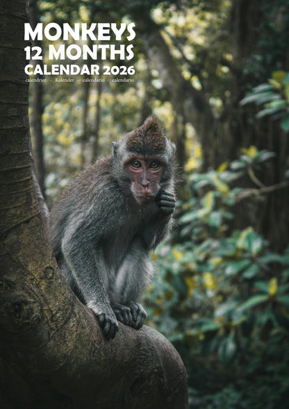 Monkeys Calendar 2026 – M-PRA Range