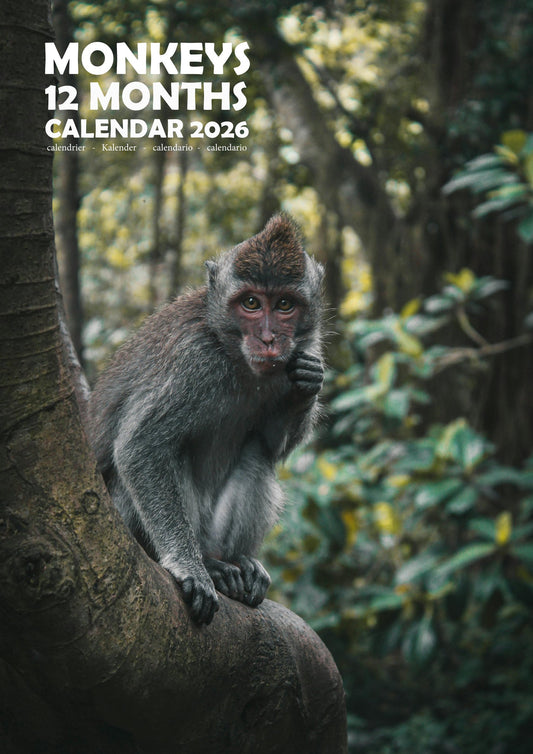 Monkeys Calendar 2026 – M-PRA Range
