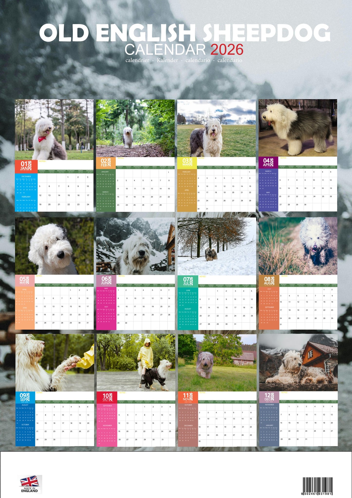 Old English Sheepdog Calendar 2026 – M-PRA Range