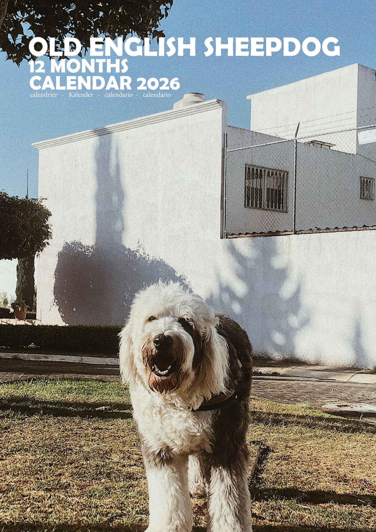Old English Sheepdog Calendar 2026 – M-PRA Range