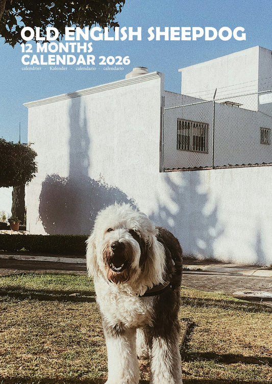 Old English Sheepdog Calendar 2026 – M-PRA Range
