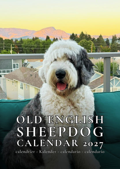 Old English Sheepdog Calendar 2027 – M-PRA Range