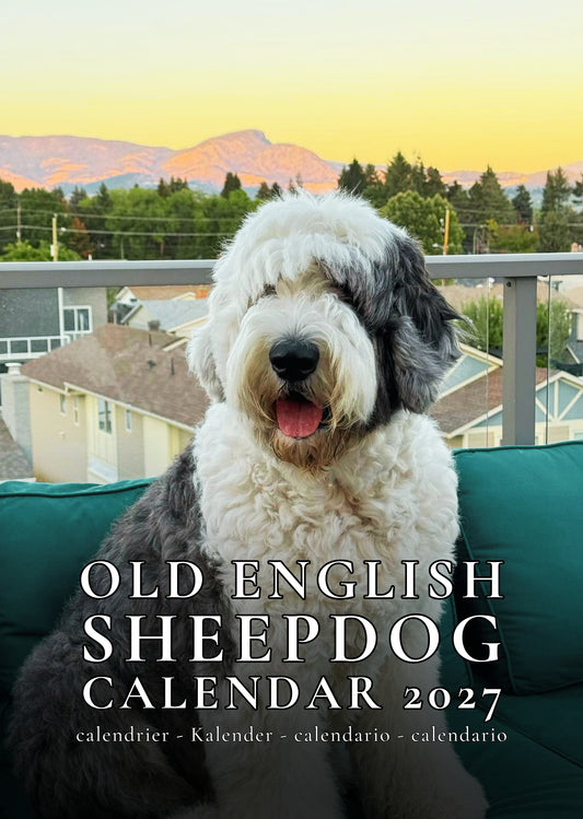 Old English Sheepdog Calendar 2027 – M-PRA Range