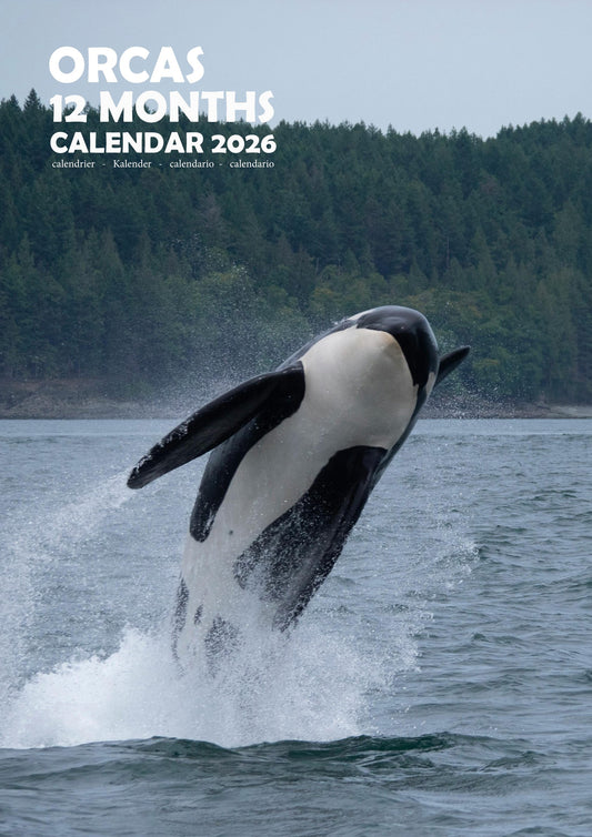 Orcas Calendar 2026 – M-PRA Range