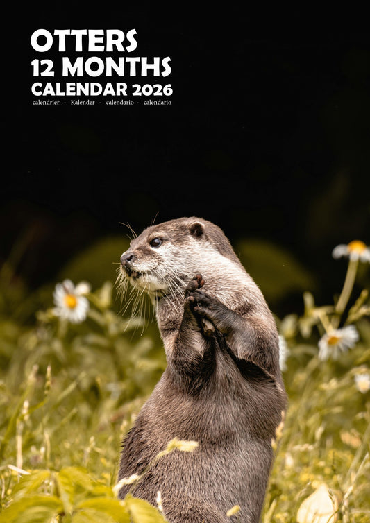 Otters Calendar 2026 – M-PRA Range