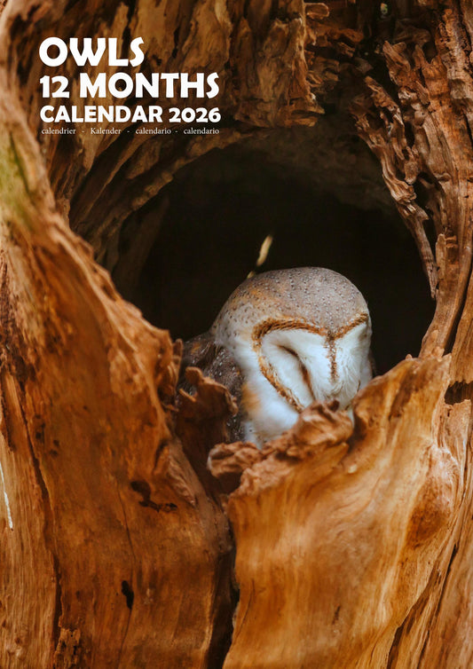 Owls Calendar 2026 – M-PRA Range