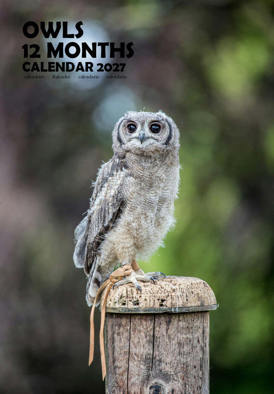 Owls Calendar 2027 – M-PRA Range