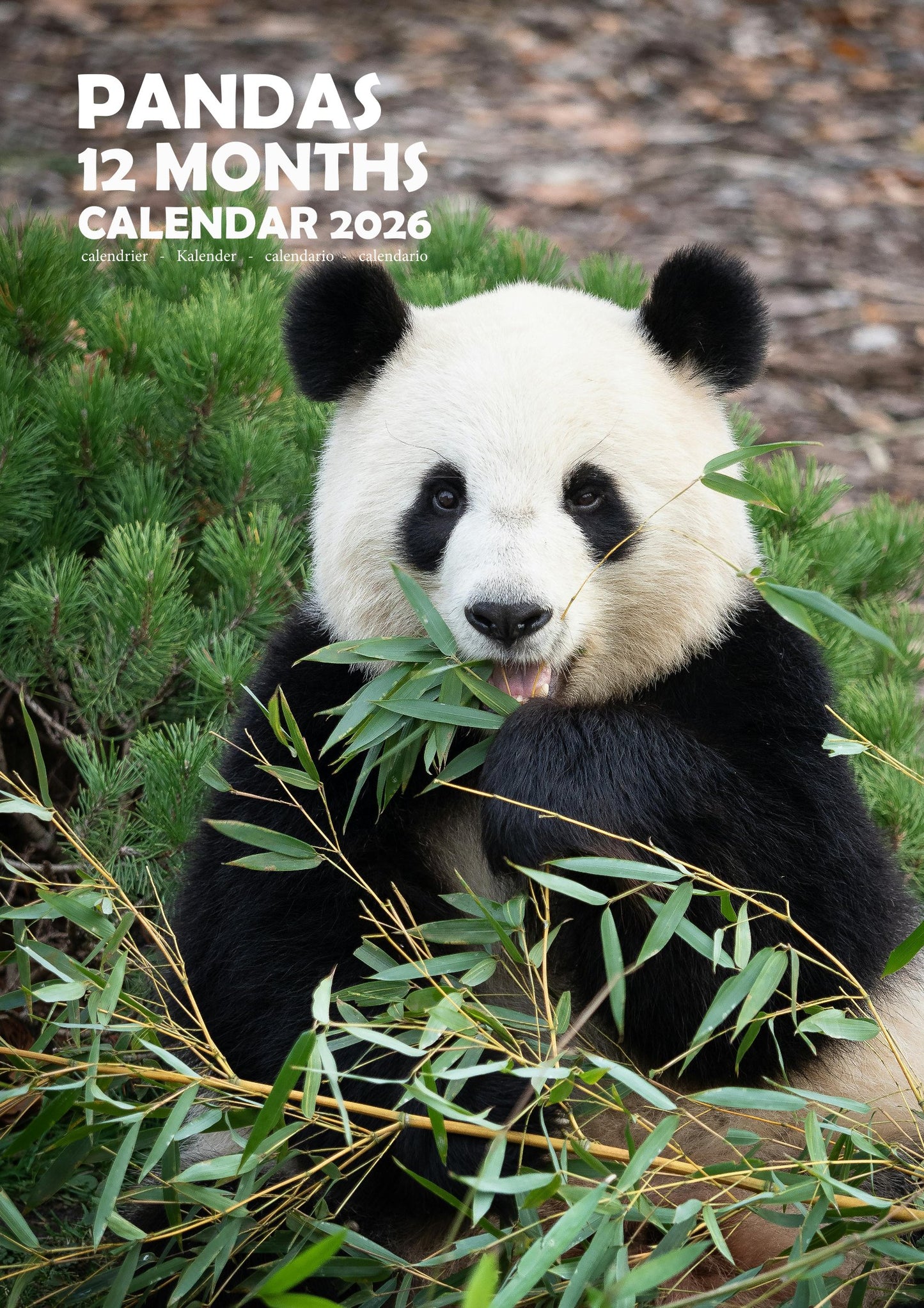 Panda Calendar 2026 – M-PRA Range
