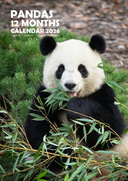 Panda Calendar 2026 – M-PRA Range