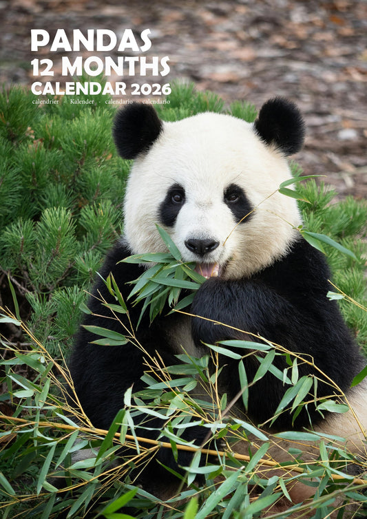 Panda Calendar 2026 – M-PRA Range