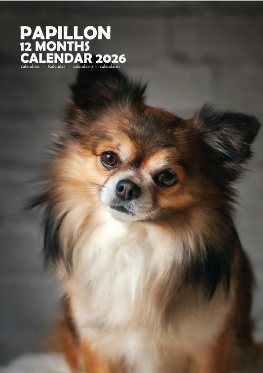 Papillon Dog Calendar 2026 – M-PRA Range