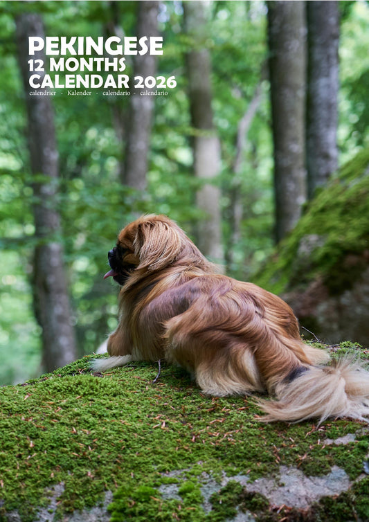 Pekingese Dog Calendar 2026 – M-PRA Range