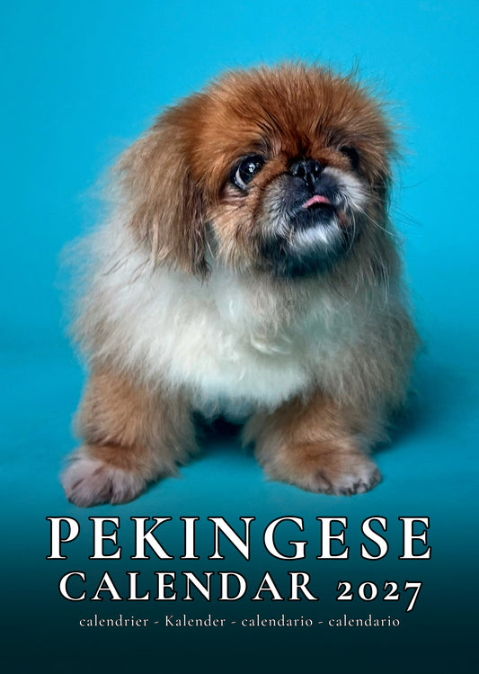 Pekingese Dog Calendar 2027 – M-PRA Range