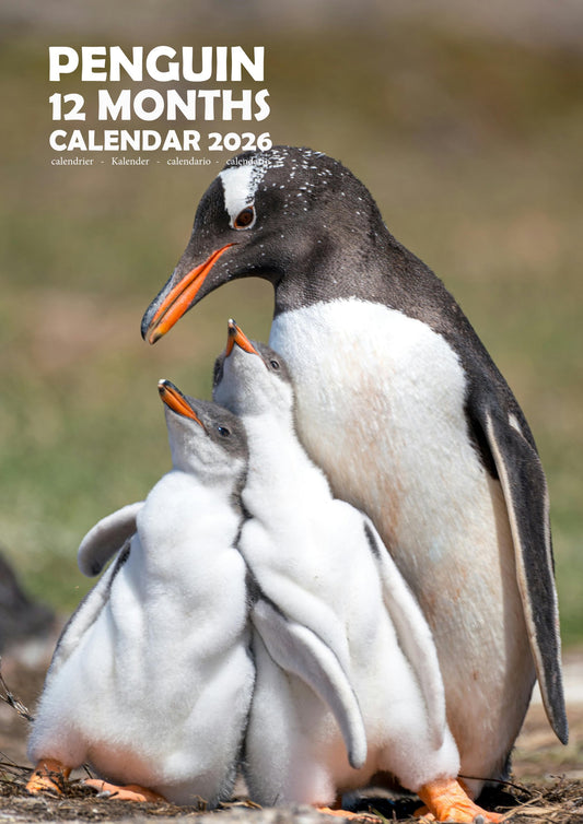 Penguin Calendar 2026 – M-PRA Range