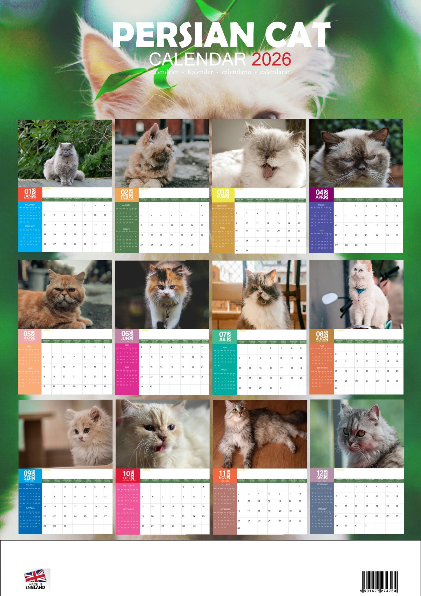 Persian Cat Calendar 2026 – M-PRA Range
