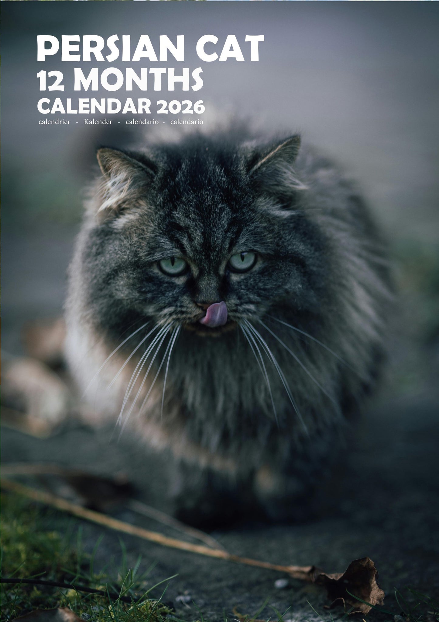 Persian Cat Calendar 2026 – M-PRA Range