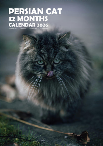 Persian Cat Calendar 2026 – M-PRA Range