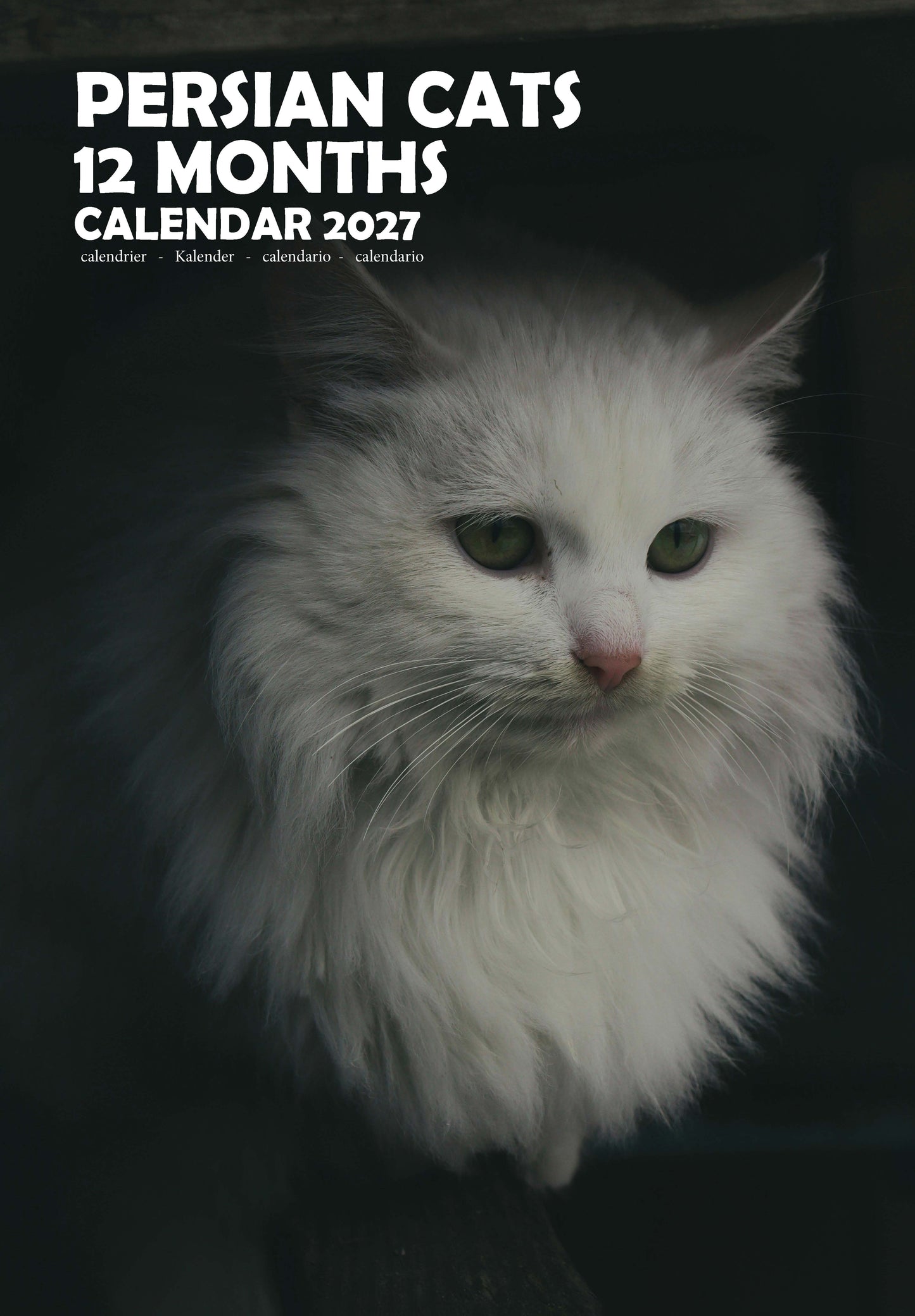 Persian Cats Calendar 2027 – M-PRA Range