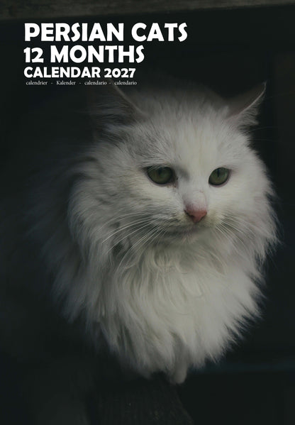 Persian Cats Calendar 2027 – M-PRA Range