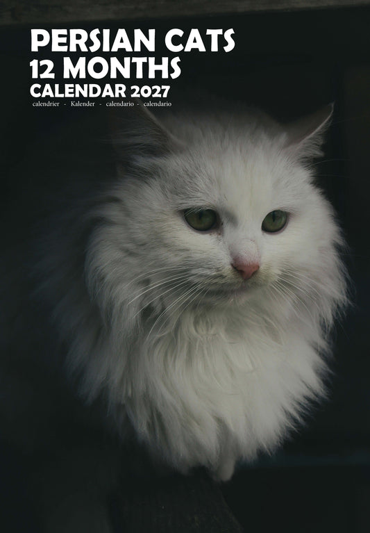Persian Cats Calendar 2027 – M-PRA Range