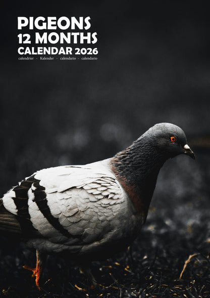 Pigeons Calendar 2026 – M-PRA Range