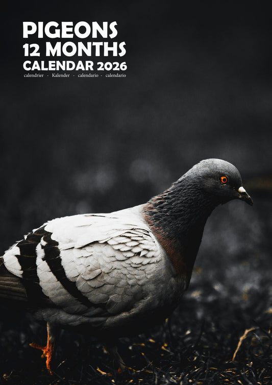 Pigeons Calendar 2026 – M-PRA Range