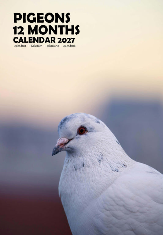 Pigeons Calendar 2027 – M-PRA Range