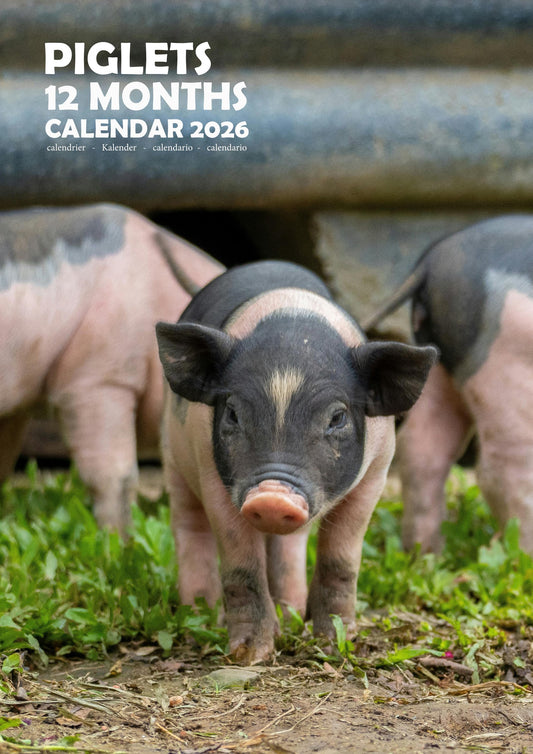Piglets Calendar 2026 – M-PRA Range