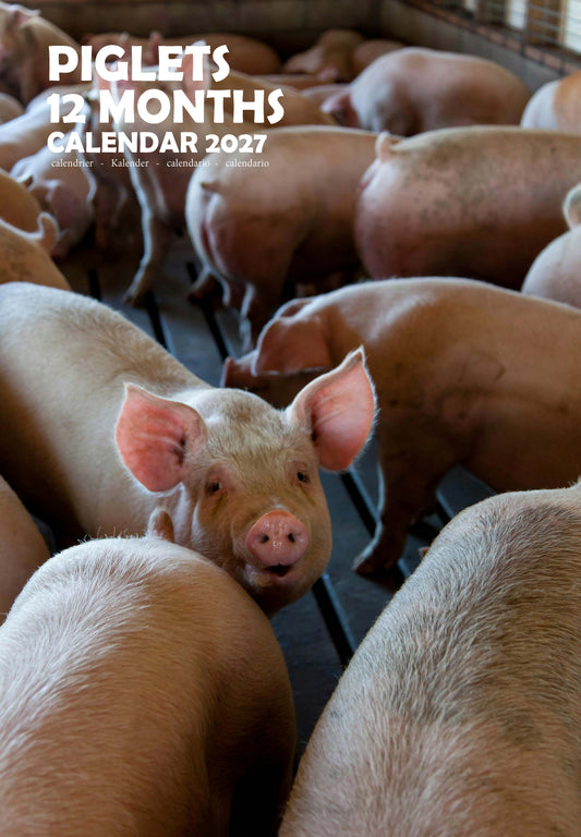 Piglets Calendar 2027 – M-PRA Range