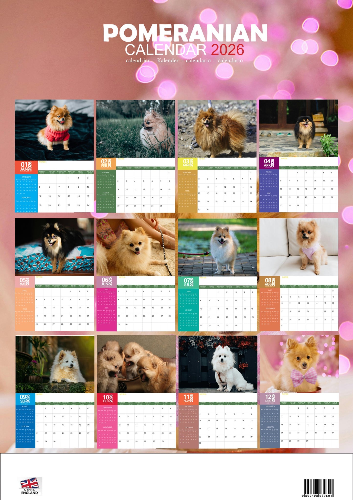 Pomeranian Dog Calendar 2026 – M-PRA Range