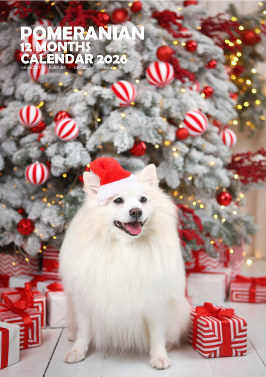 Pomeranian Dog Calendar 2026 – M-PRA Range