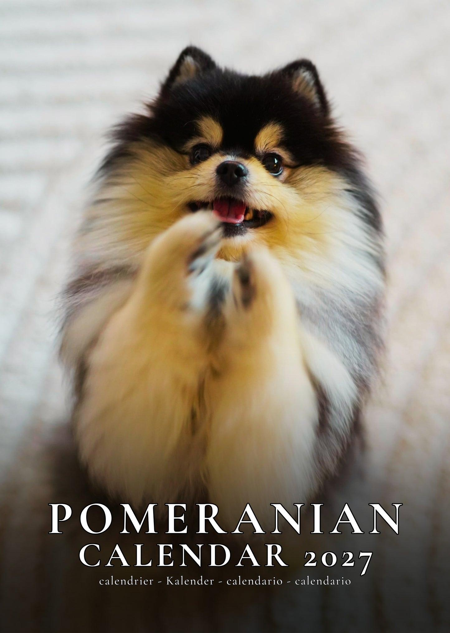 Pomeranian Dog Calendar 2027 – M-PRA Range