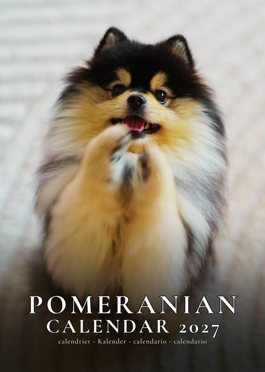 Pomeranian Dog Calendar 2027 – M-PRA Range