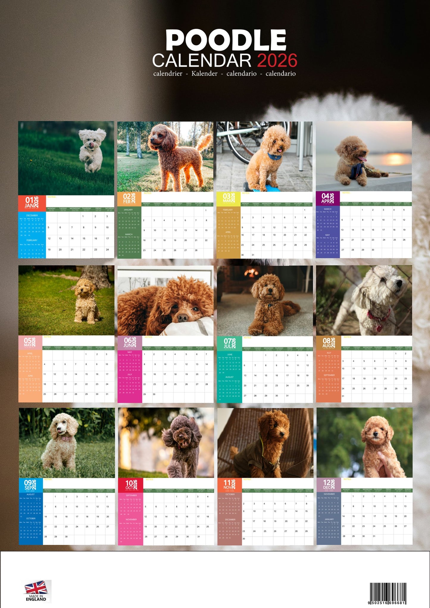 Poodle Dog Calendar 2026 – M-PRA Range