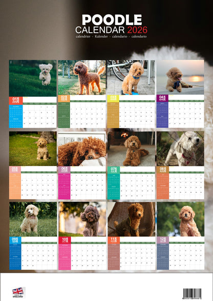 Poodle Dog Calendar 2026 – M-PRA Range