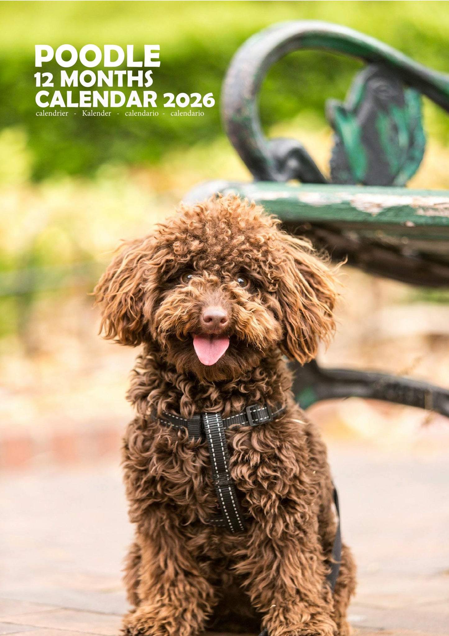 Poodle Dog Calendar 2026 – M-PRA Range