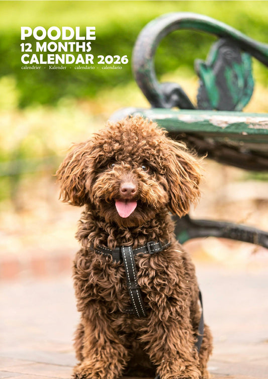 Poodle Dog Calendar 2026 – M-PRA Range