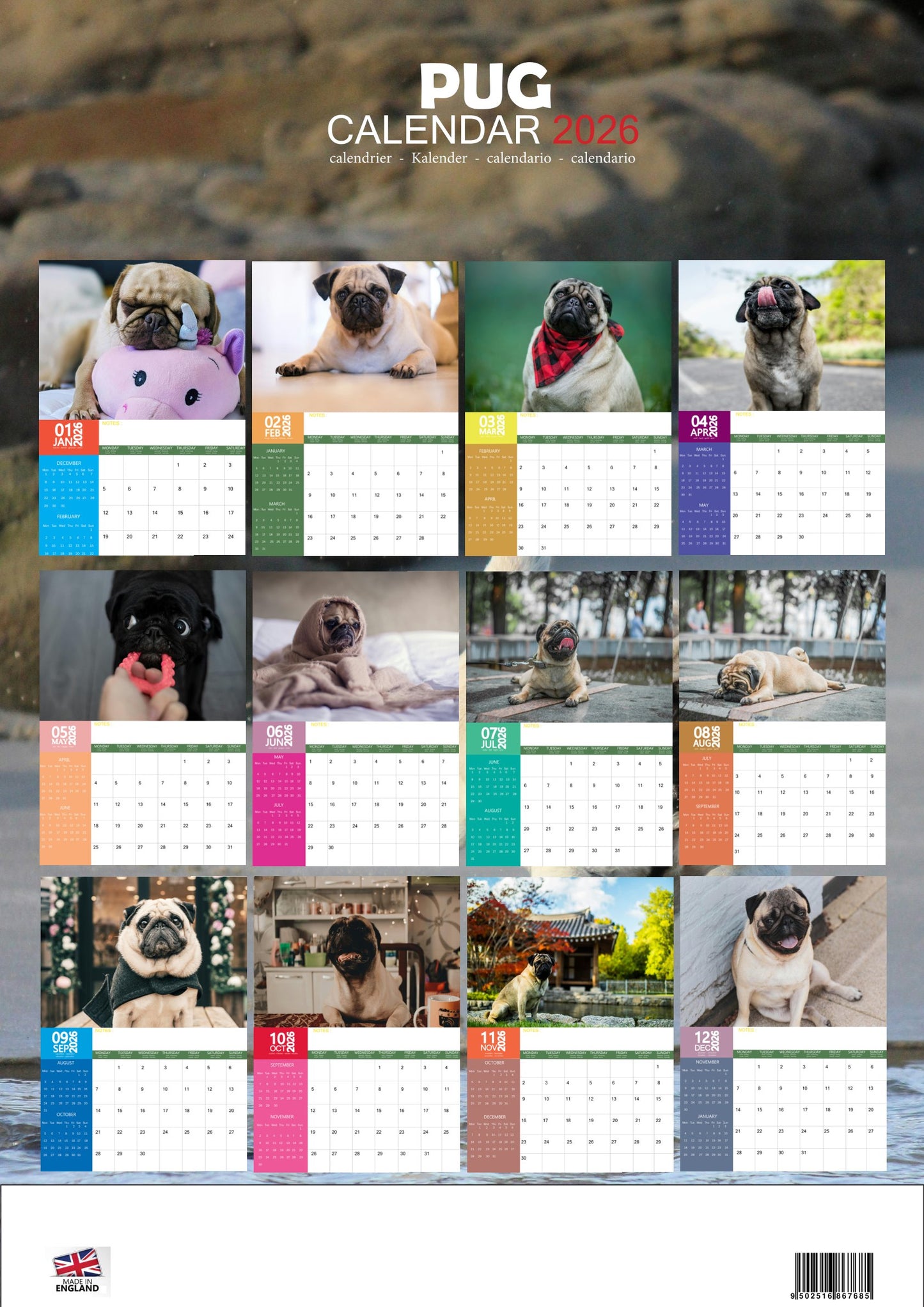 Pug Dog Calendar 2026 – M-PRA Range